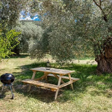 O-live Appartamento